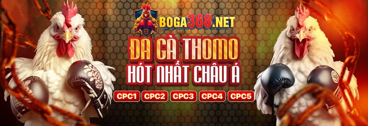 Các bước tham gia đối tác U888